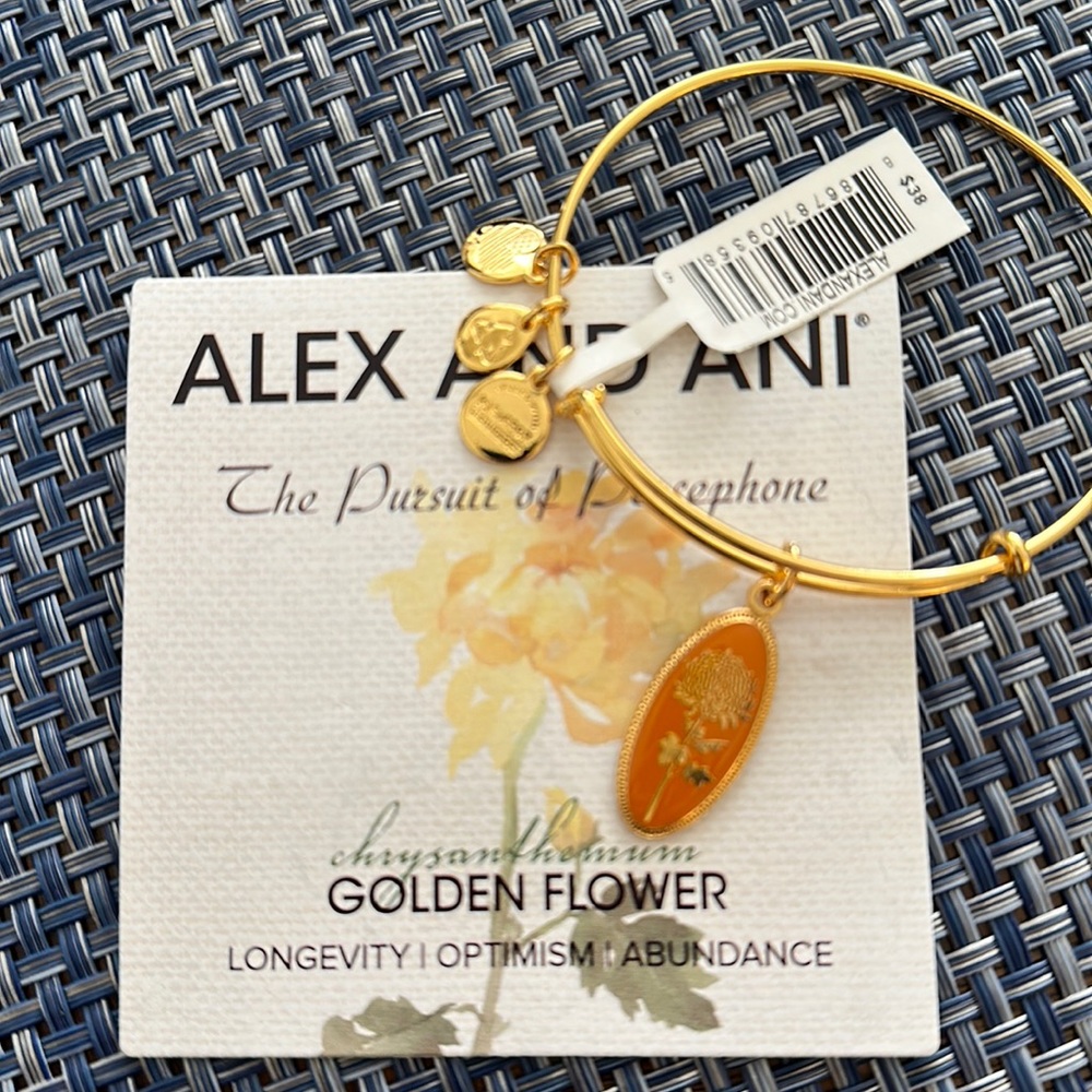 Alex and Ani bracelet